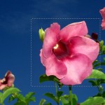 Trekking fotografico Anticipiamo la Primavera terza edizione