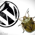 WordPress hacked: eliminare l’amministratore nascosto