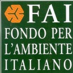 FAI_logo1 FAI_logo1