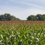 premio fotografico internazionale obiettivo agricoltura