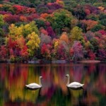 Concorso fotografia naturalistica Energia Natura