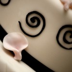 cake design primavera 2012