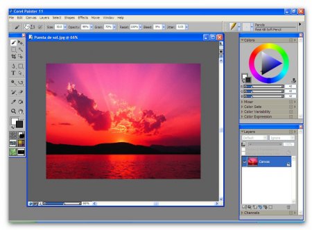 corel painter 12