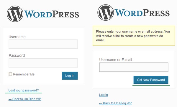 Wordpress new password